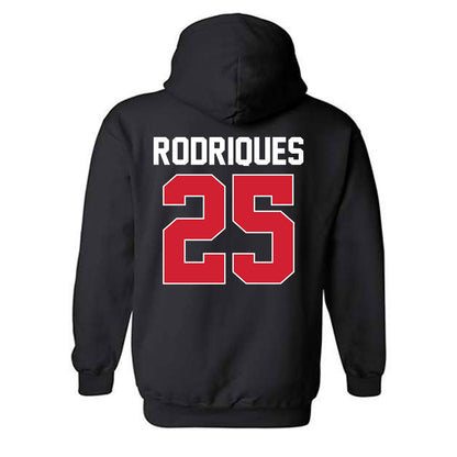 Youngstown State - NCAA Baseball : Michael Rodriques - Classic Shersey Hooded Sweatshirt-1