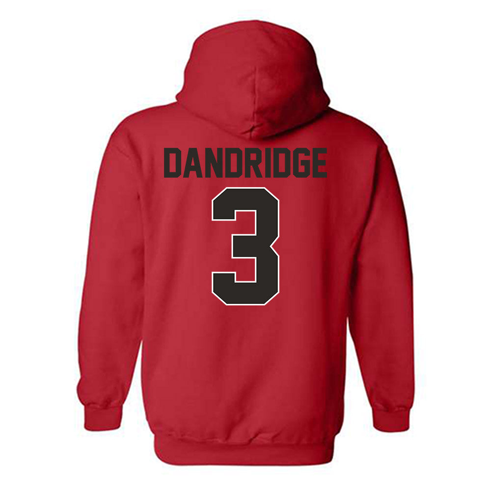 Youngstown State - NCAA Football : Richard Dandridge - Classic Shersey Hooded Sweatshirt-1