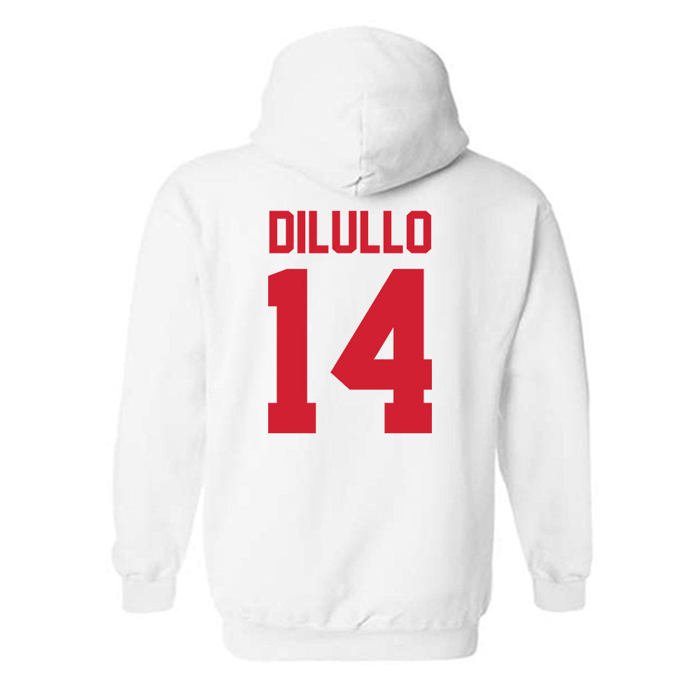 Youngstown State - NCAA Baseball : Ryan DiLullo - Classic Shersey Hooded Sweatshirt-1