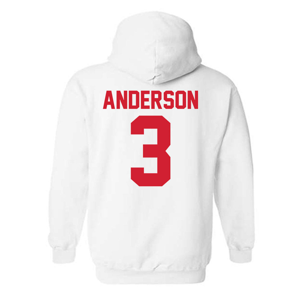 Youngstown State - NCAA Men's Basketball : Derrick Anderson - Classic Shersey Hooded Sweatshirt-1