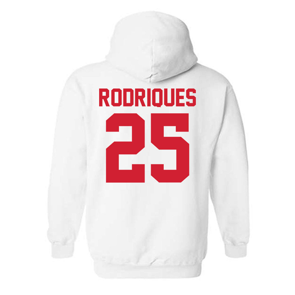Youngstown State - NCAA Baseball : Michael Rodriques - Classic Shersey Hooded Sweatshirt-1