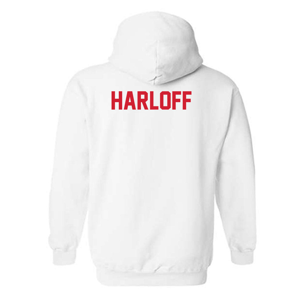 Youngstown State - NCAA Women's Track & Field : Melody Harloff - Classic Shersey Hooded Sweatshirt-1