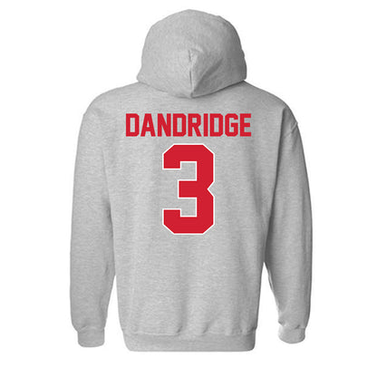 Youngstown State - NCAA Football : Richard Dandridge - Classic Shersey Hooded Sweatshirt-1