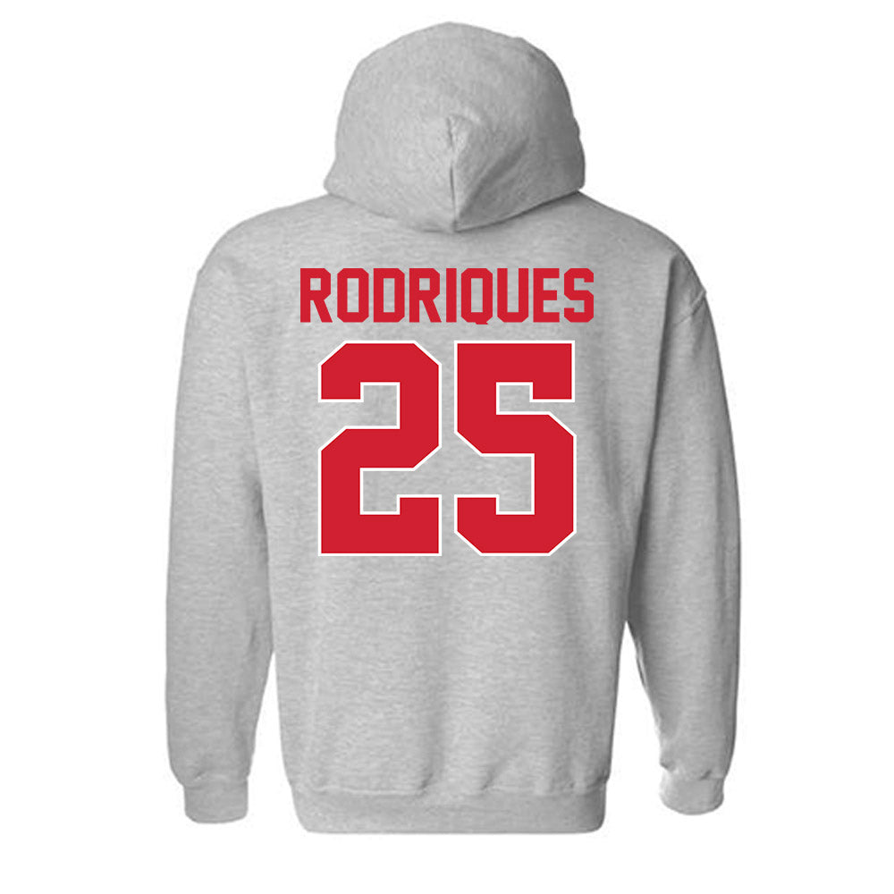Youngstown State - NCAA Baseball : Michael Rodriques - Classic Shersey Hooded Sweatshirt-1
