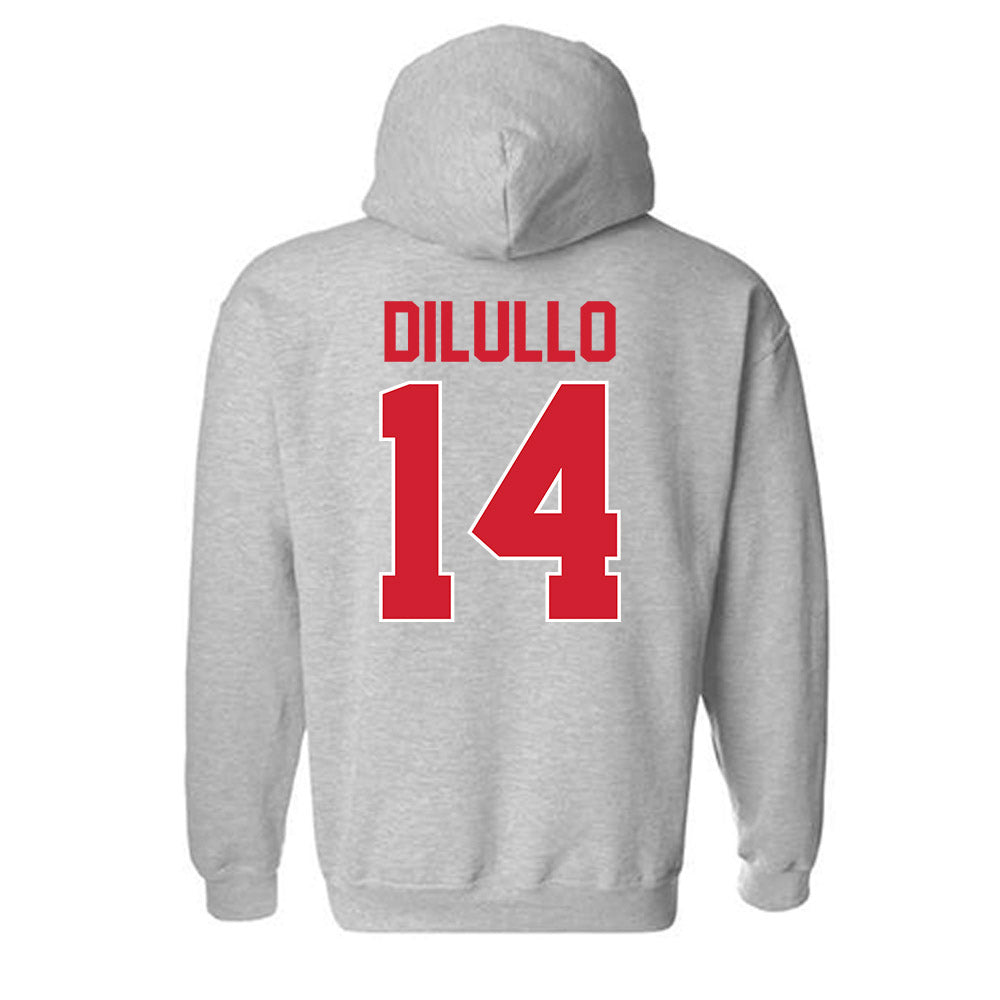 Youngstown State - NCAA Baseball : Ryan DiLullo - Classic Shersey Hooded Sweatshirt-1