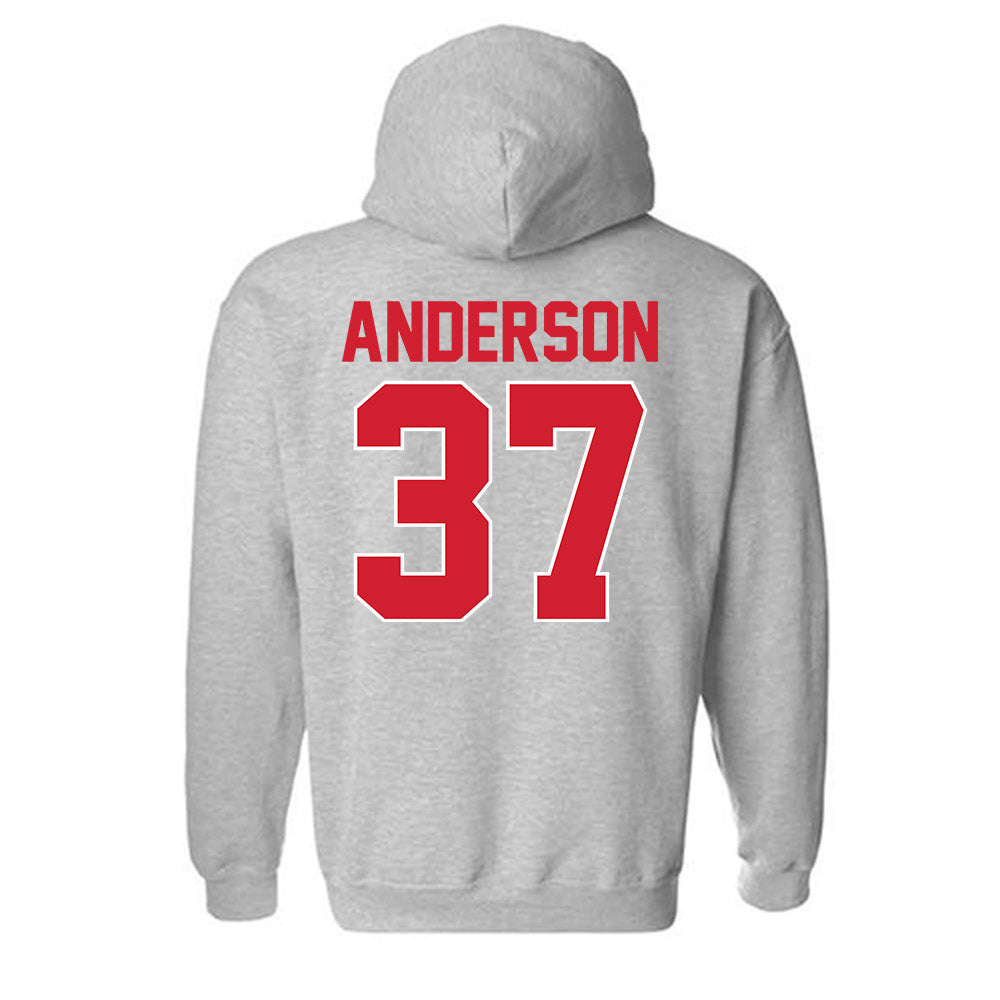 Youngstown State - NCAA Football : Evan Anderson - Classic Shersey Hooded Sweatshirt-1