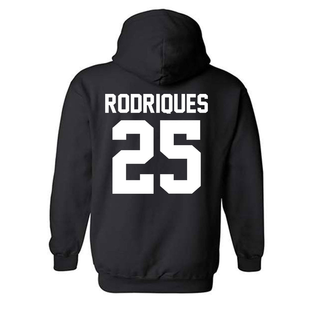 Youngstown State - NCAA Baseball : Michael Rodriques - Classic Fashion Shersey Hooded Sweatshirt-1