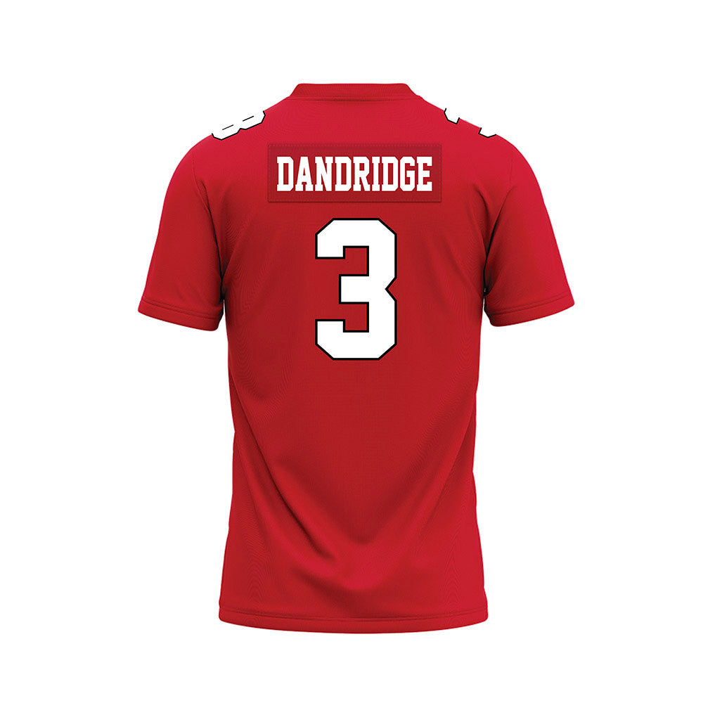 Youngstown State - NCAA Football : Richard Dandridge - Red Premium Football Jersey-1