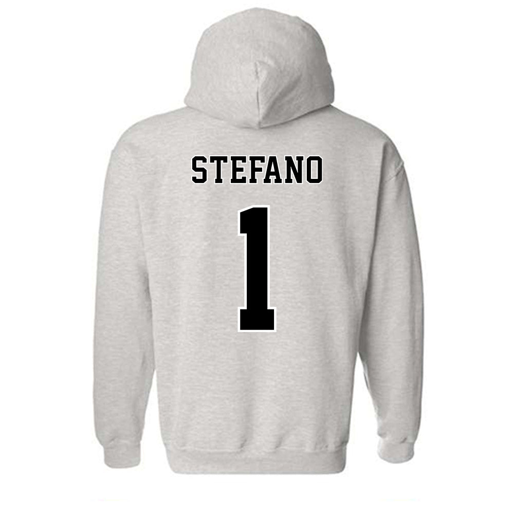 Towson - NCAA Baseball : Cole Stefano - Classic Fashion Shersey Hooded Sweatshirt-1