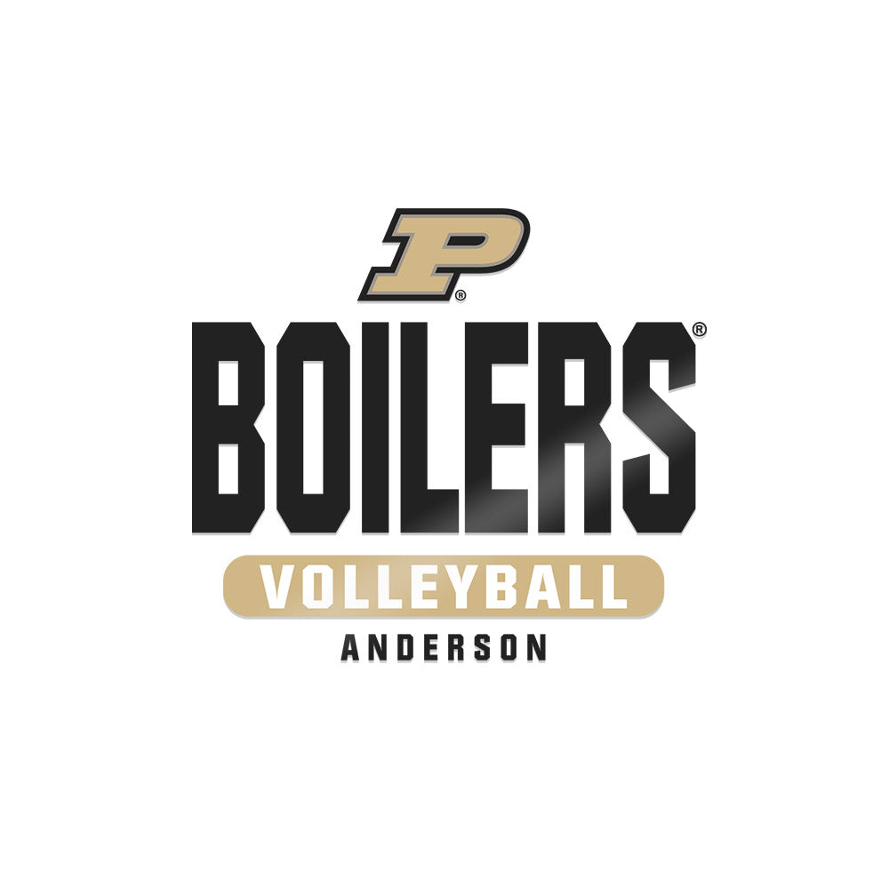 Purdue - NCAA Women's Volleyball : Taylor Anderson - Sticker-0