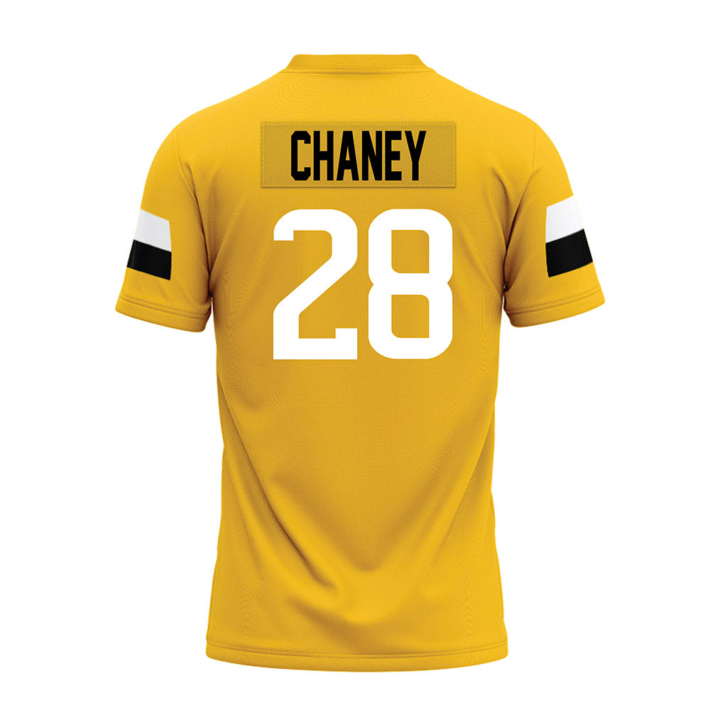 Southern Miss - NCAA Football : Vernorrius Chaney - Premium Football Jersey