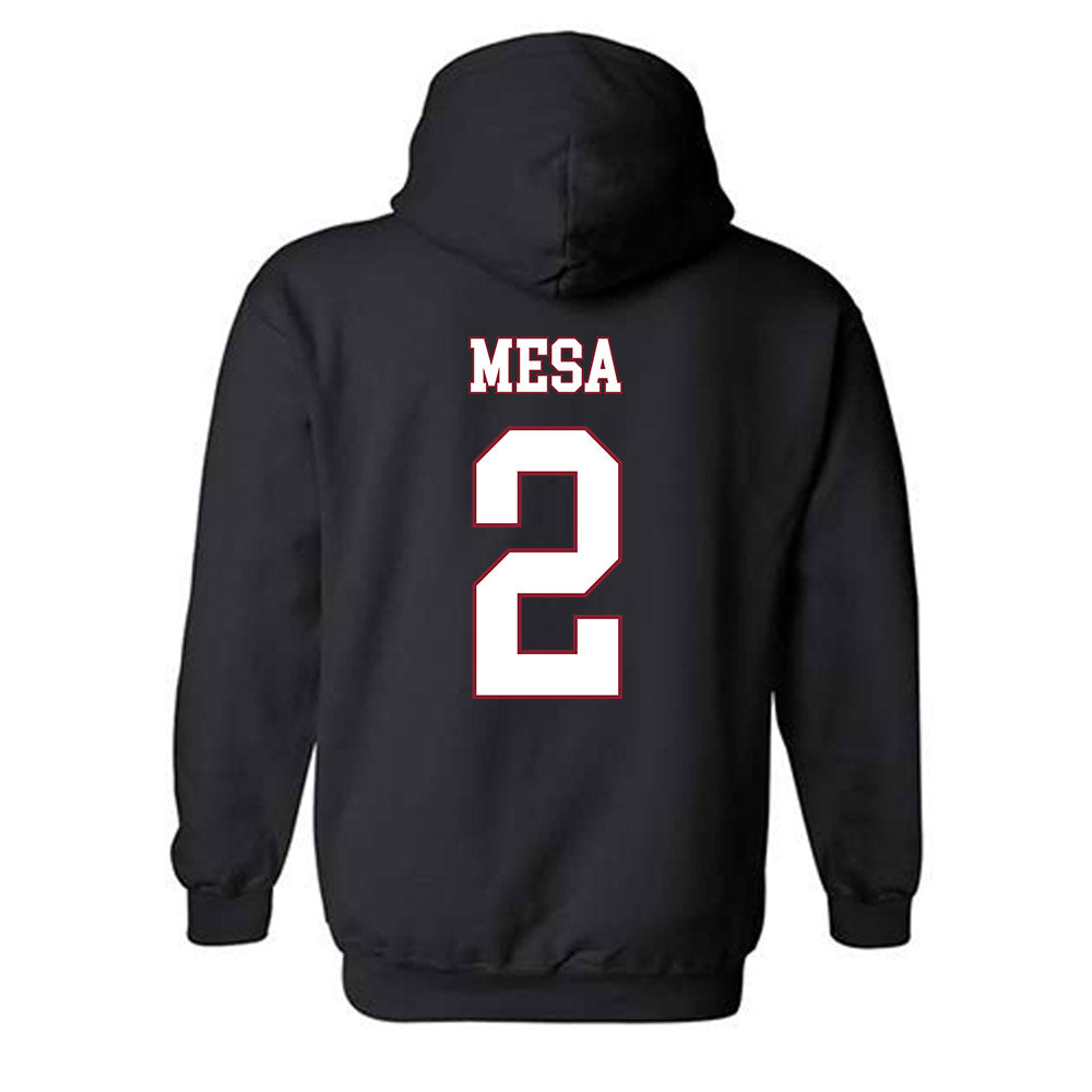 Troy - NCAA Women's Volleyball : Jaci Mesa - Hooded Sweatshirt