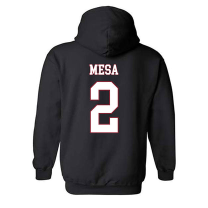 Troy - NCAA Women's Volleyball : Jaci Mesa - Hooded Sweatshirt
