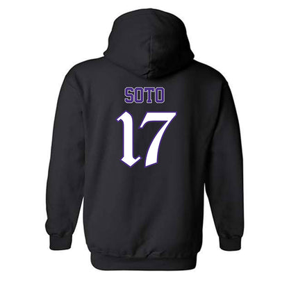 Northwestern - NCAA Women's Lacrosse : Jenna Soto - Hooded Sweatshirt-1