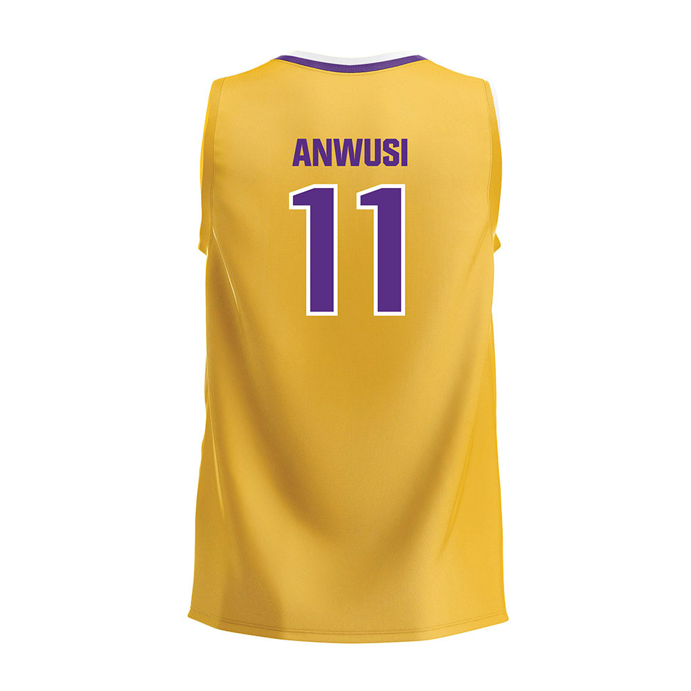 LSU - NCAA Women's Volleyball : Anita Anwusi - Gold Volleyball Jersey