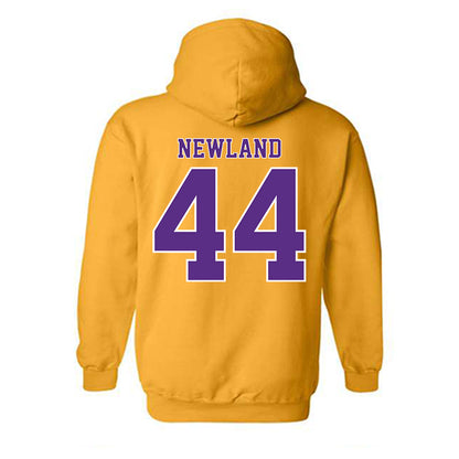 LSU - NCAA Softball : Ali Newland - Classic Shersey Hooded Sweatshirt