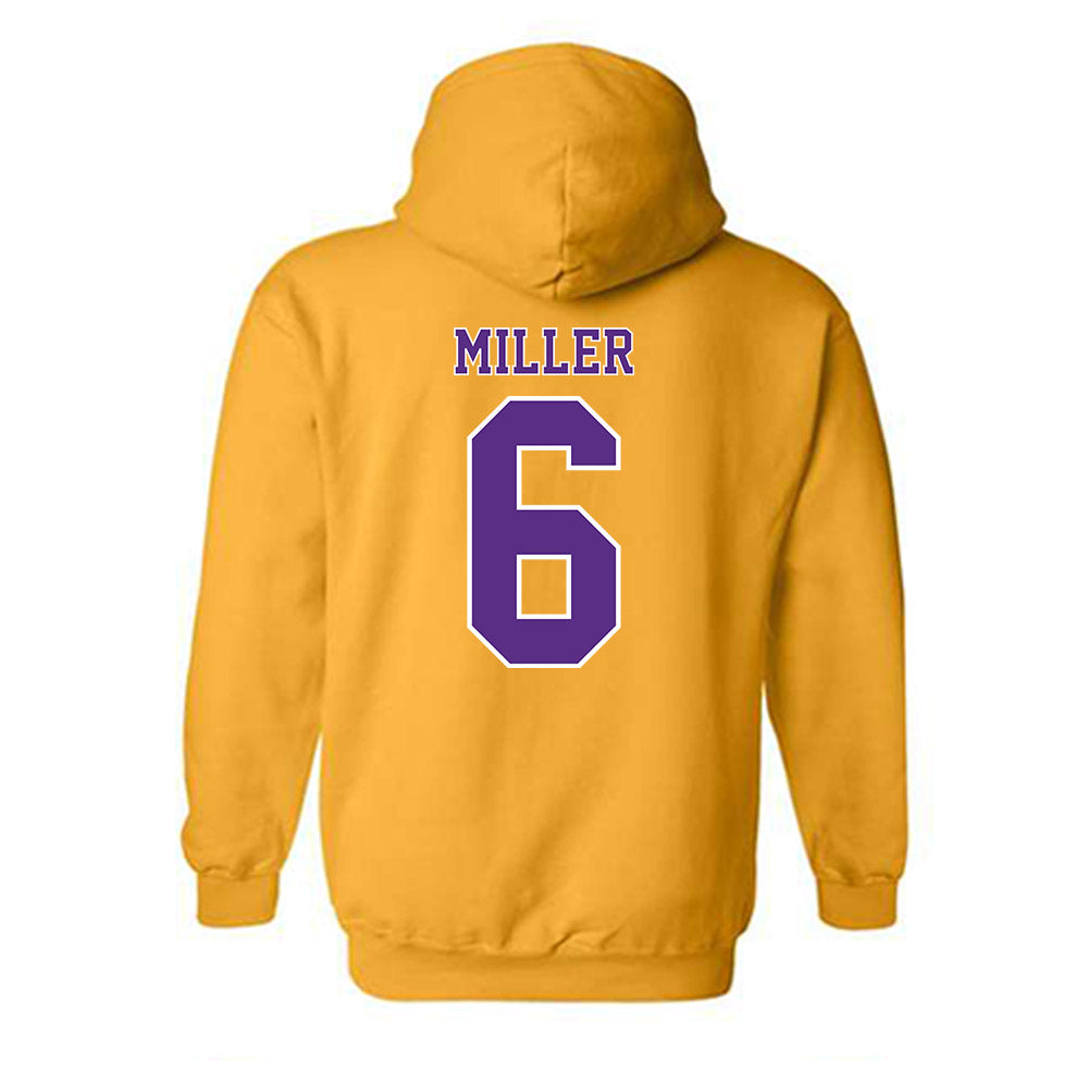 LSU - NCAA Men's Basketball : Robert Miller - Classic Shersey Hooded Sweatshirt