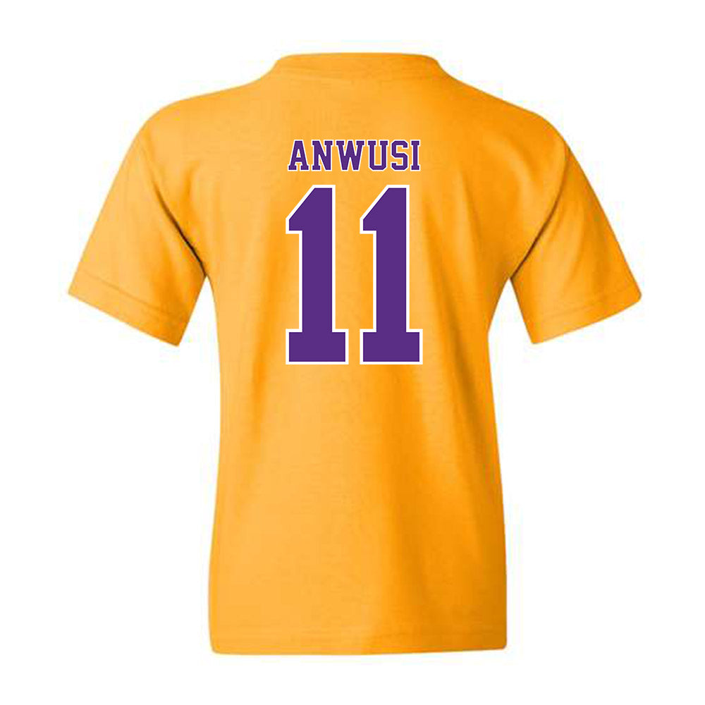 LSU - NCAA Women's Volleyball : Anita Anwusi - Classic Shersey Youth T-Shirt