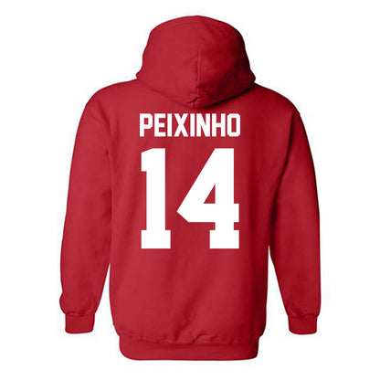 New Mexico - NCAA Women's Basketball : Leonor Peixinho - Classic Shersey Hooded Sweatshirt-1