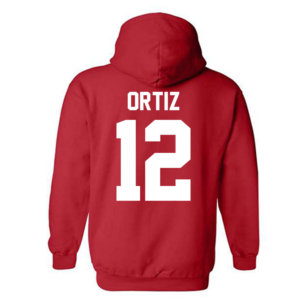 New Mexico - NCAA Softball : Alina Ortiz - Classic Shersey Hooded Sweatshirt-1