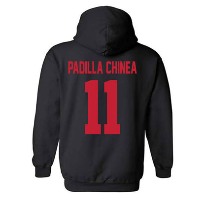 New Mexico - NCAA Women's Basketball : Nayli Padilla Chinea - Classic Shersey Hooded Sweatshirt-1