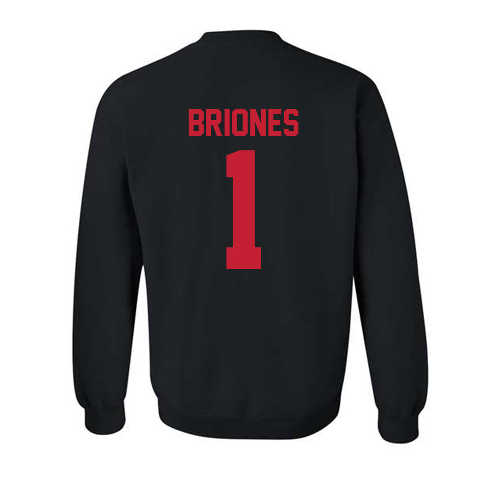 New Mexico - NCAA Softball : Gabrielle Briones - Classic Shersey Crewneck Sweatshirt-1