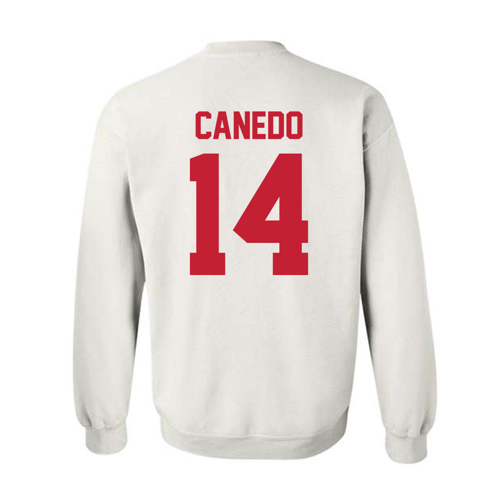 New Mexico - NCAA Women's Volleyball : Camila Canedo - Classic Shersey Crewneck Sweatshirt-1