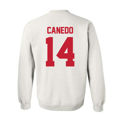 New Mexico - NCAA Women's Volleyball : Camila Canedo - Classic Shersey Crewneck Sweatshirt-1