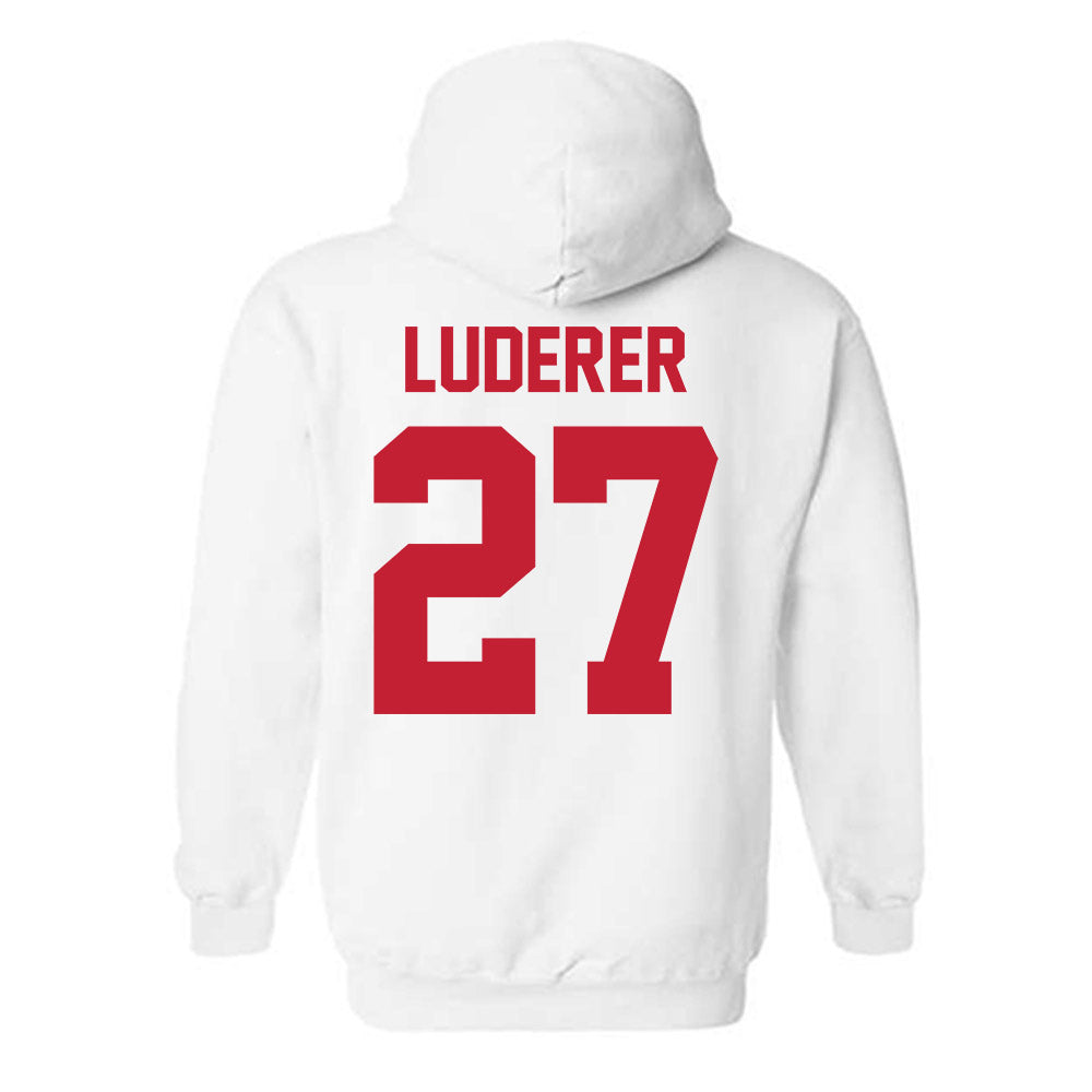 New Mexico - NCAA Softball : Hayden Luderer - Classic Shersey Hooded Sweatshirt-1