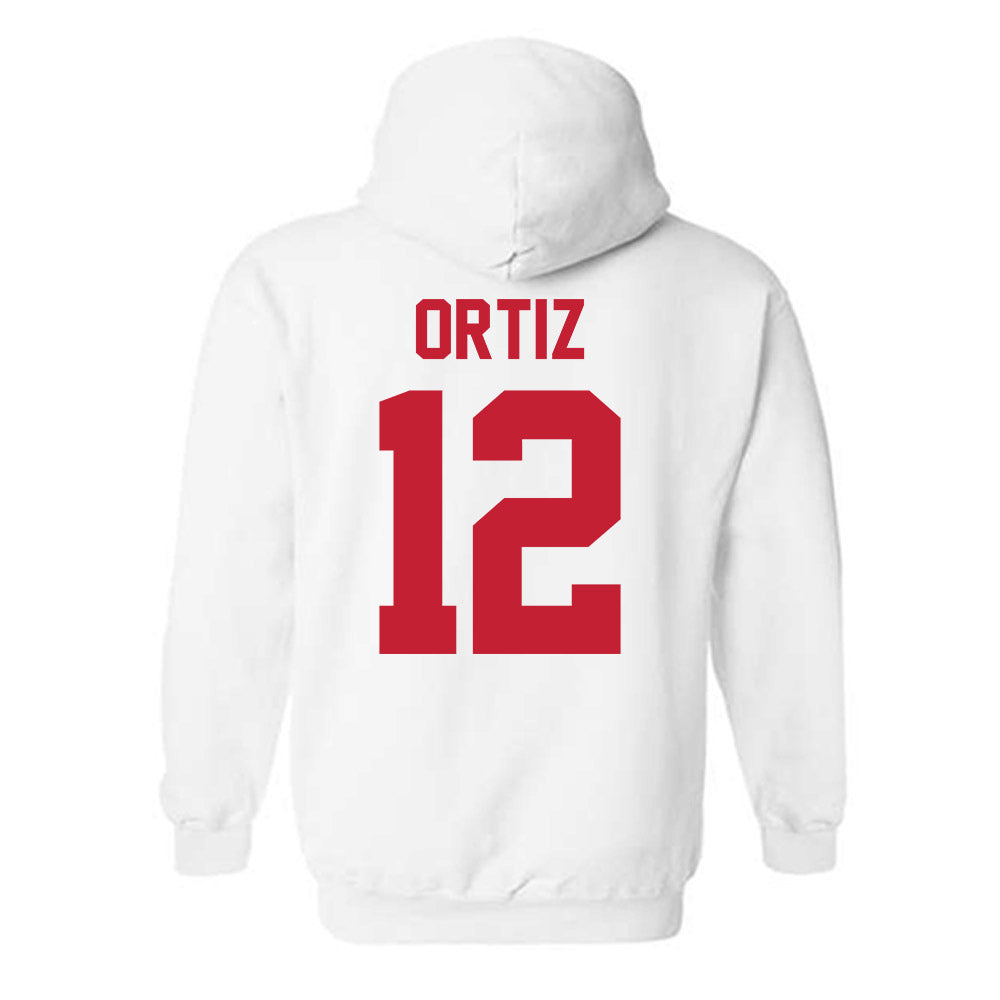 New Mexico - NCAA Softball : Alina Ortiz - Classic Shersey Hooded Sweatshirt-1