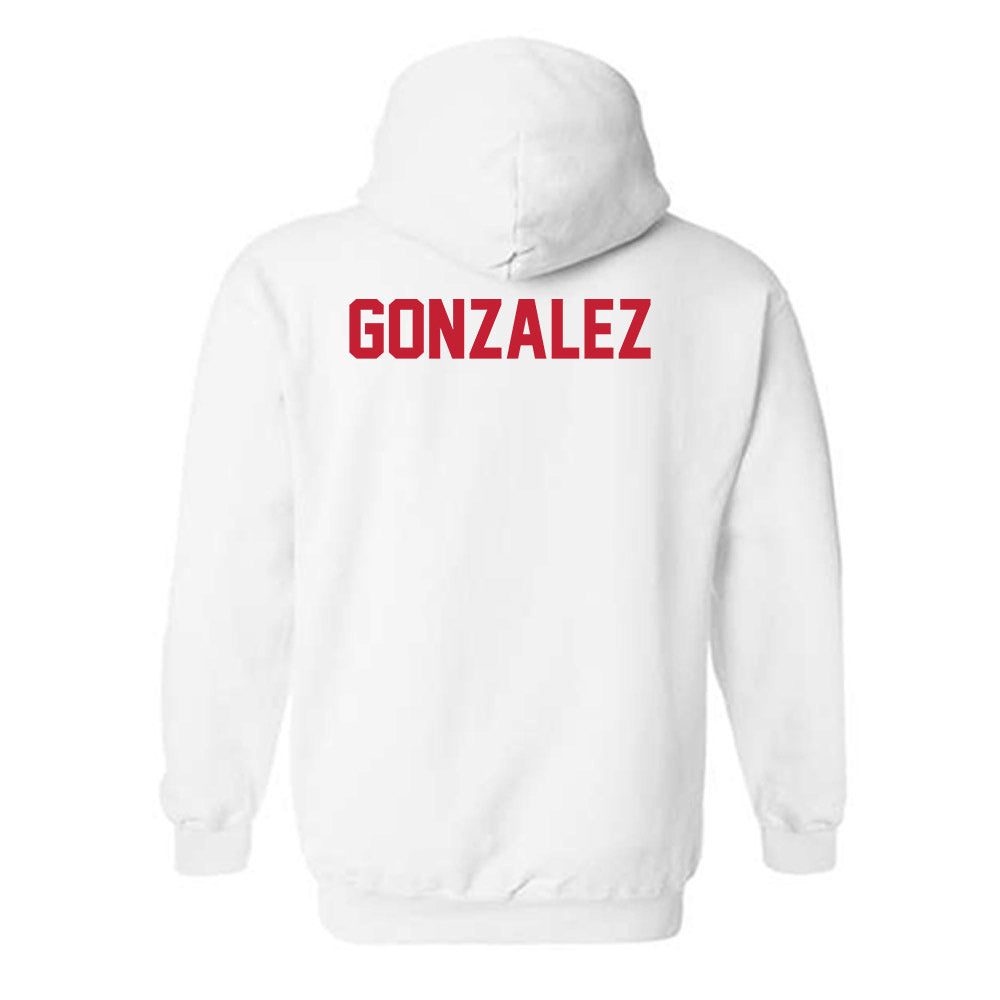 New Mexico - NCAA Women's Track & Field : Zennia Gonzalez - Classic Shersey Hooded Sweatshirt-1