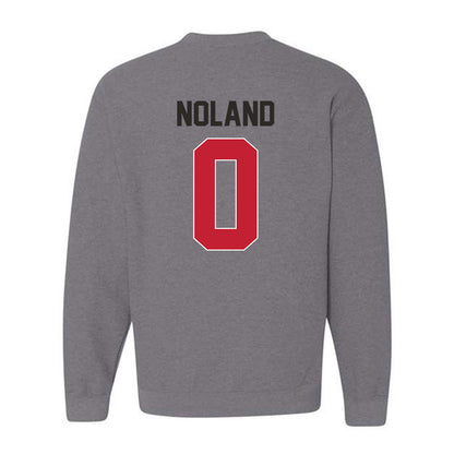 New Mexico - NCAA Men's Basketball : CJ Noland - Classic Shersey Crewneck Sweatshirt-1