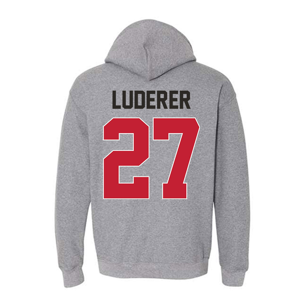 New Mexico - NCAA Softball : Hayden Luderer - Classic Shersey Hooded Sweatshirt-1