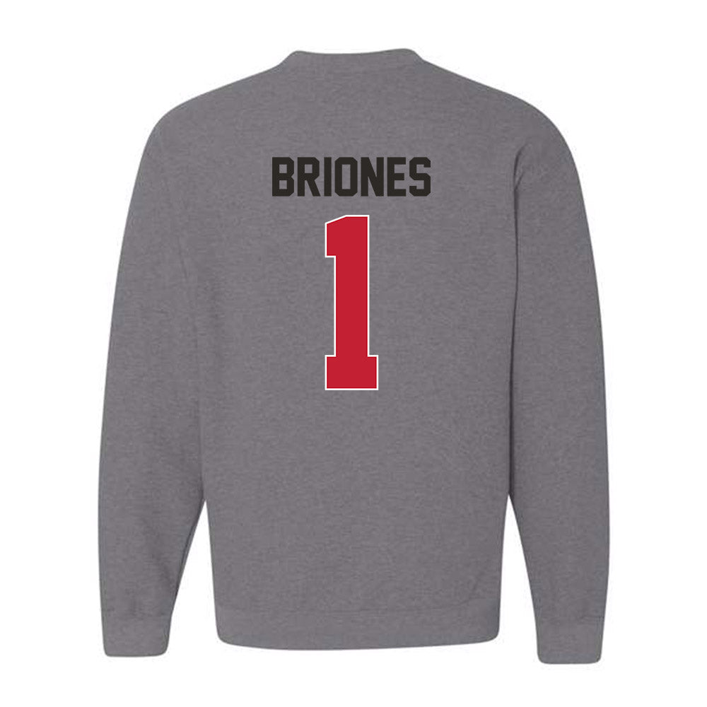 New Mexico - NCAA Softball : Gabrielle Briones - Classic Shersey Crewneck Sweatshirt-1