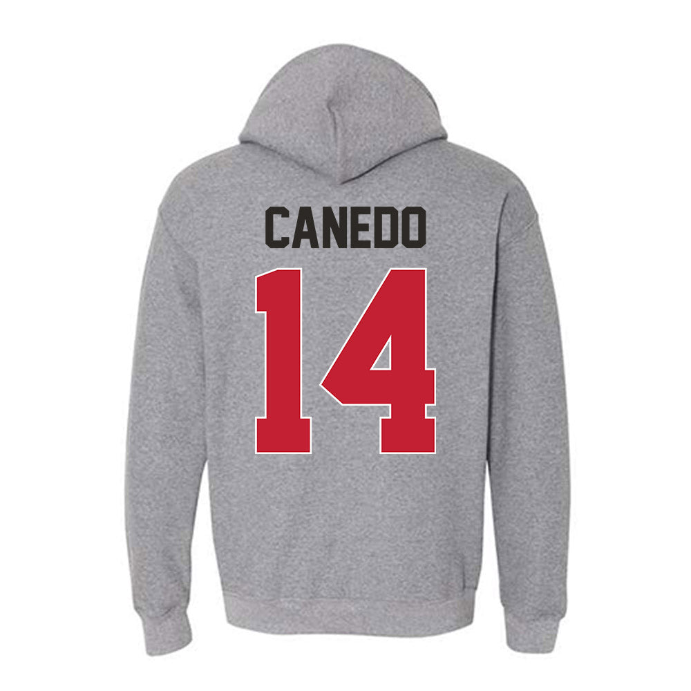 New Mexico - NCAA Women's Volleyball : Camila Canedo - Classic Shersey Hooded Sweatshirt-1