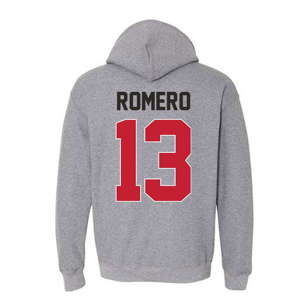 New Mexico - NCAA Baseball : Matthew Romero - Classic Shersey Hooded Sweatshirt-1