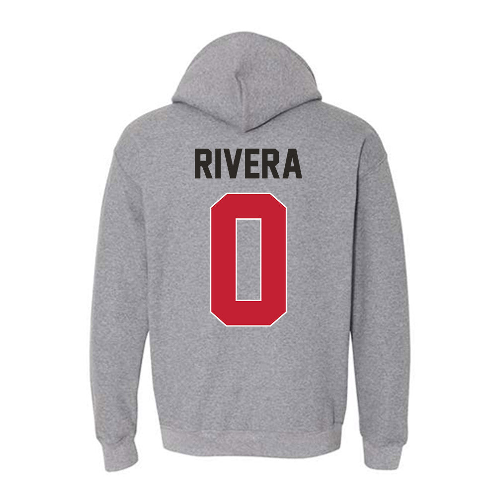 New Mexico - NCAA Football : Nicolas Rivera - Classic Shersey Hooded Sweatshirt-1