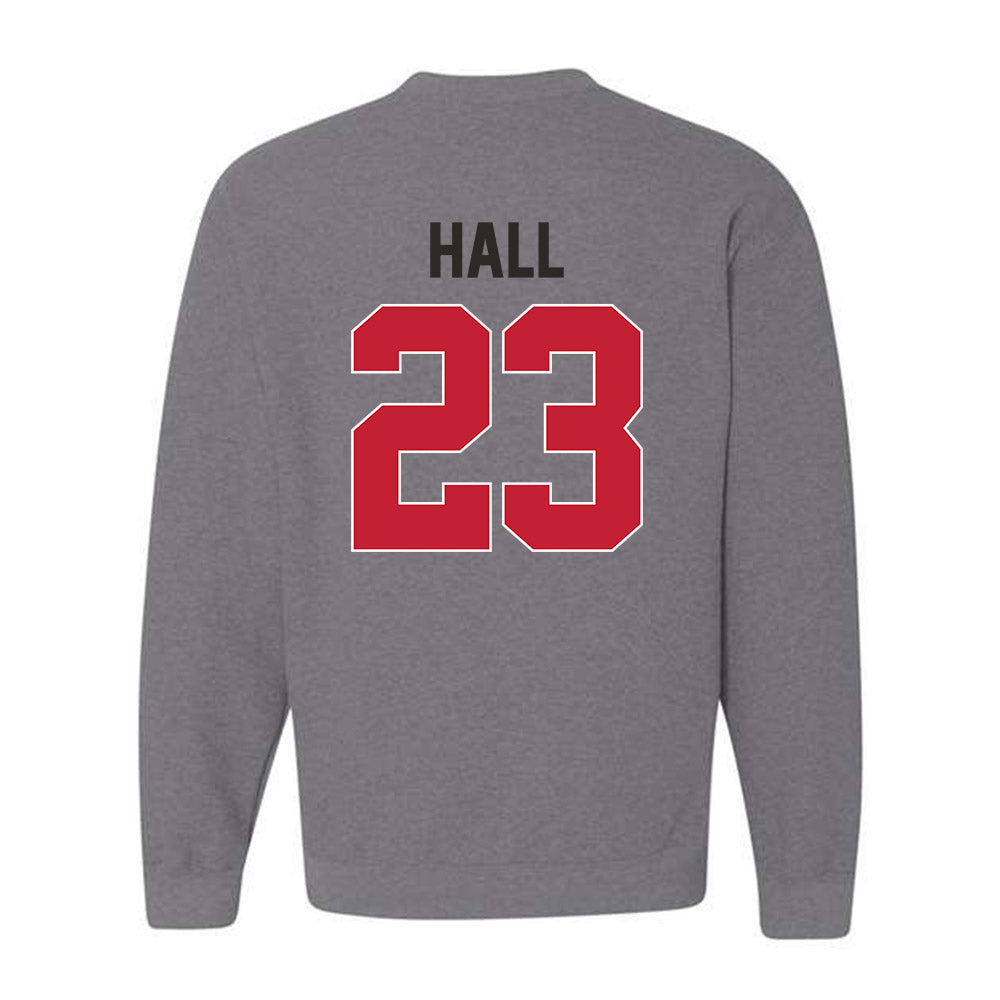 New Mexico - NCAA Men's Basketball : Jake Hall - Classic Shersey Crewneck Sweatshirt-1