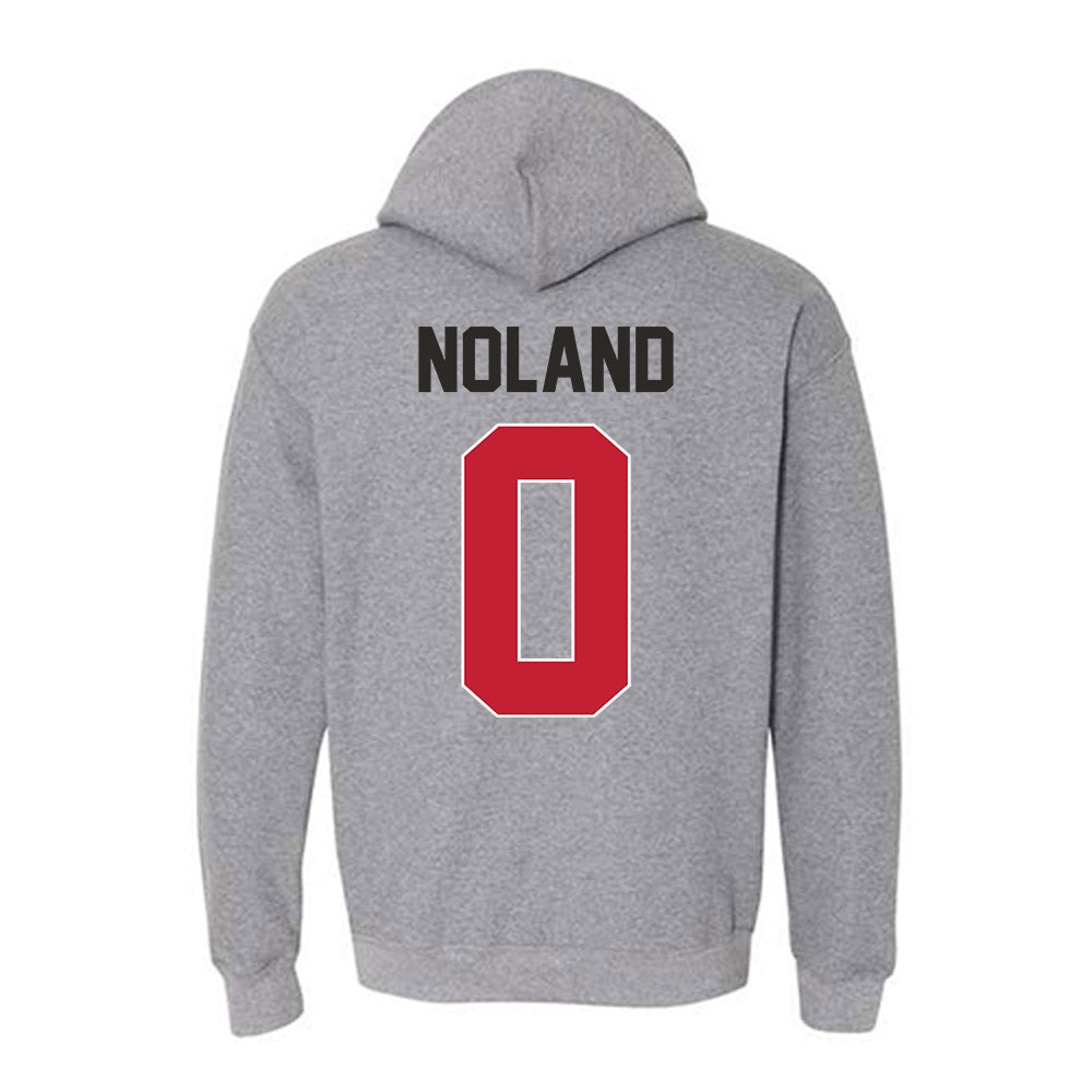 New Mexico - NCAA Men's Basketball : CJ Noland - Classic Shersey Hooded Sweatshirt-1