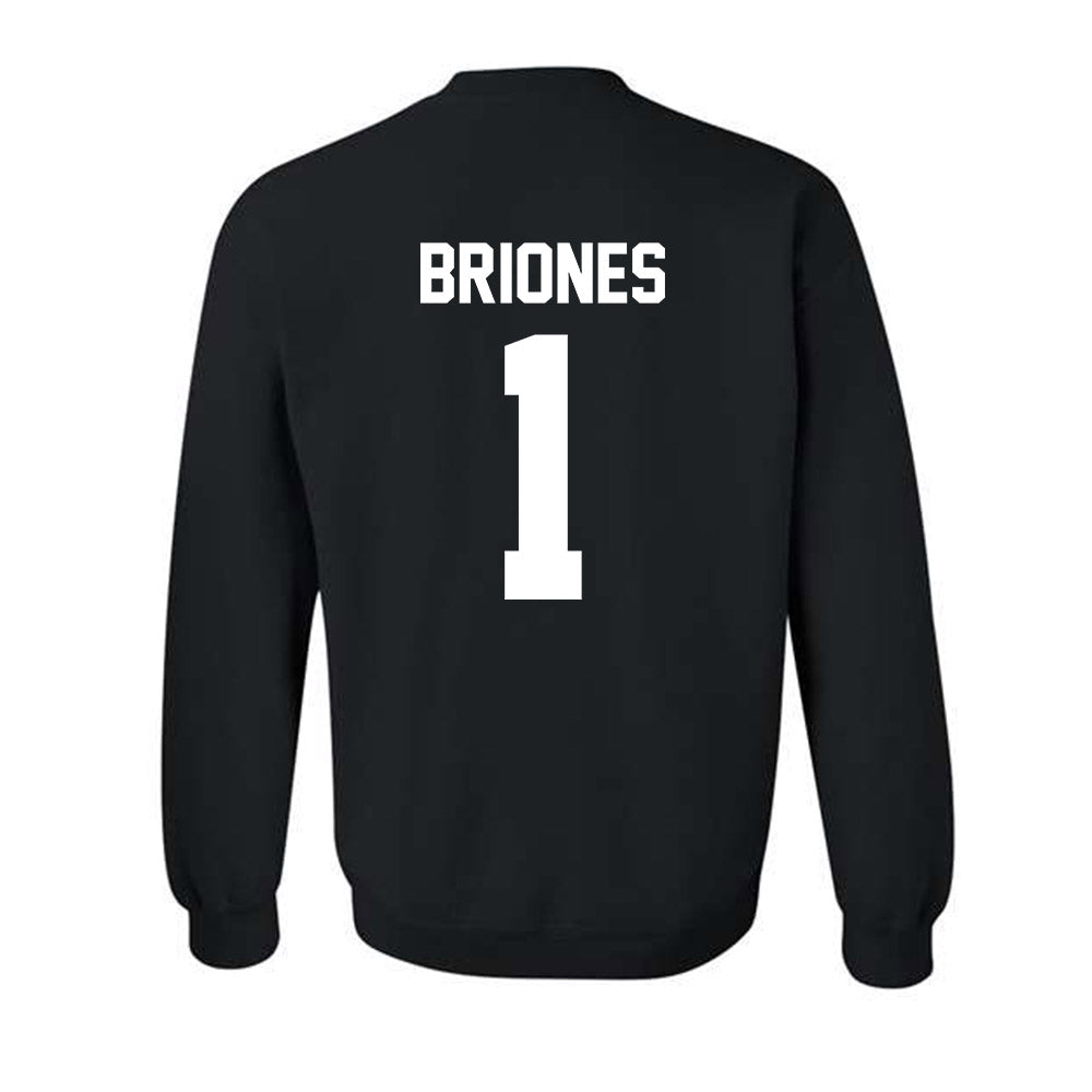 New Mexico - NCAA Softball : Gabrielle Briones - Classic Shersey Crewneck Sweatshirt-1