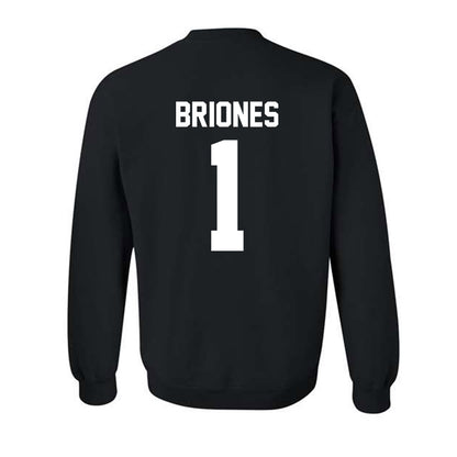 New Mexico - NCAA Softball : Gabrielle Briones - Classic Shersey Crewneck Sweatshirt-1