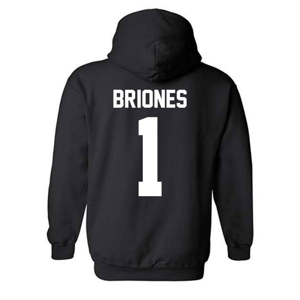 New Mexico - NCAA Softball : Gabrielle Briones - Classic Shersey Hooded Sweatshirt-1
