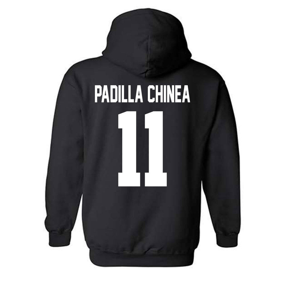 New Mexico - NCAA Women's Basketball : Nayli Padilla Chinea - Classic Shersey Hooded Sweatshirt-1