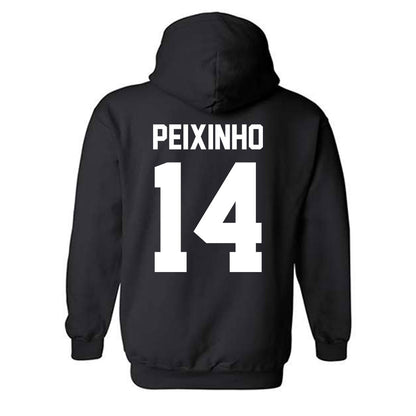 New Mexico - NCAA Women's Basketball : Leonor Peixinho - Classic Shersey Hooded Sweatshirt-1