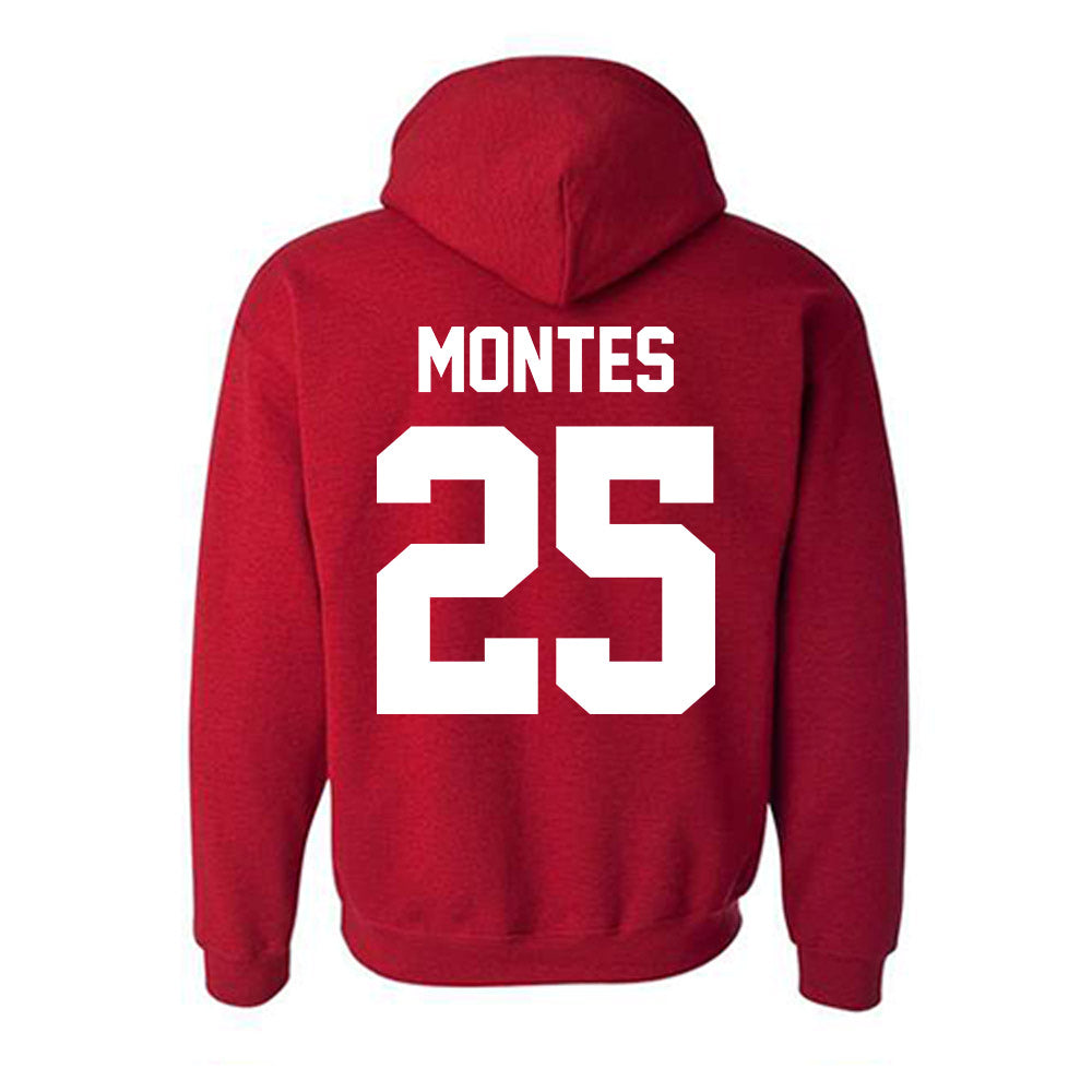 New Mexico - NCAA Softball : Mia Montes - Classic Fashion Shersey Hooded Sweatshirt-1