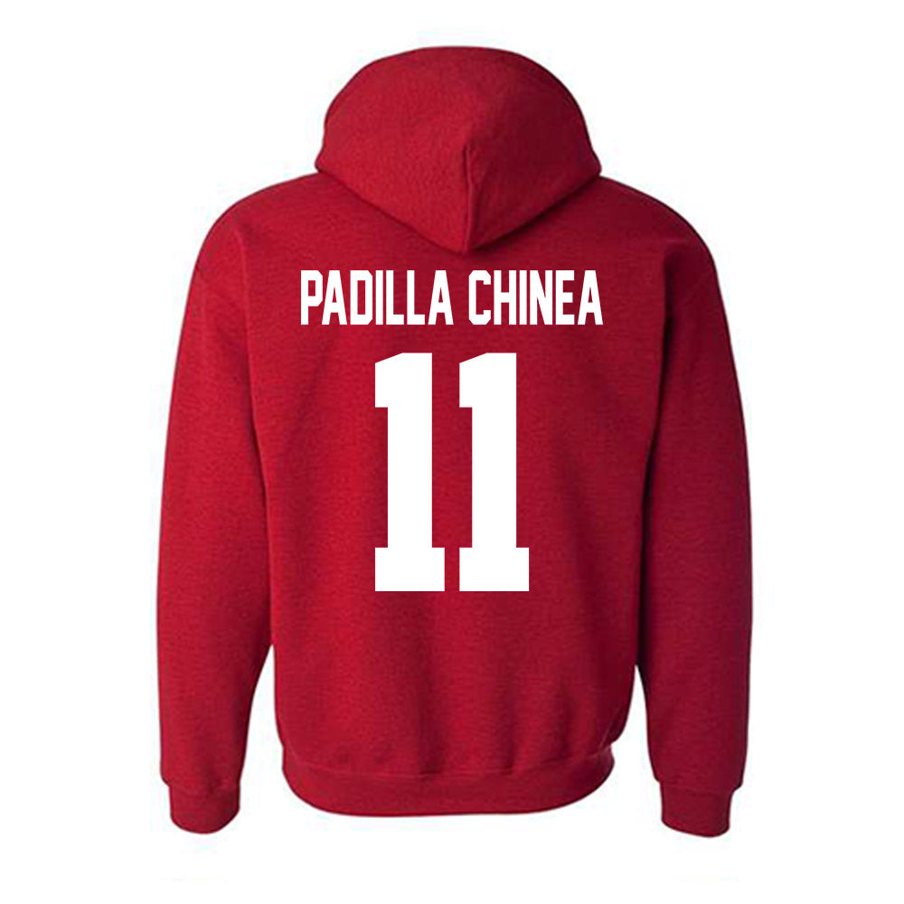 New Mexico - NCAA Women's Basketball : Nayli Padilla Chinea - Classic Fashion Shersey Hooded Sweatshirt-1