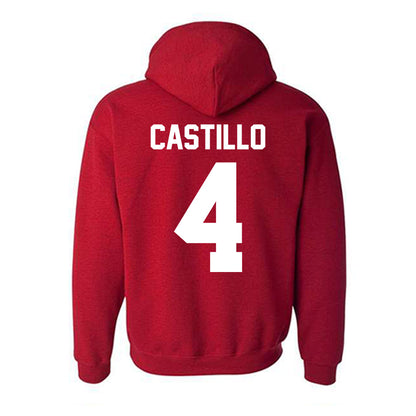 New Mexico - NCAA Softball : Ava Castillo - Classic Fashion Shersey Hooded Sweatshirt-1