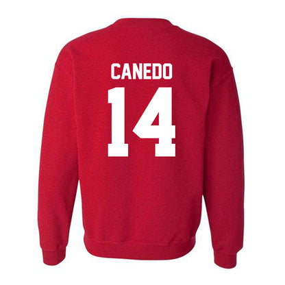 New Mexico - NCAA Women's Volleyball : Camila Canedo - Classic Fashion Shersey Crewneck Sweatshirt-1