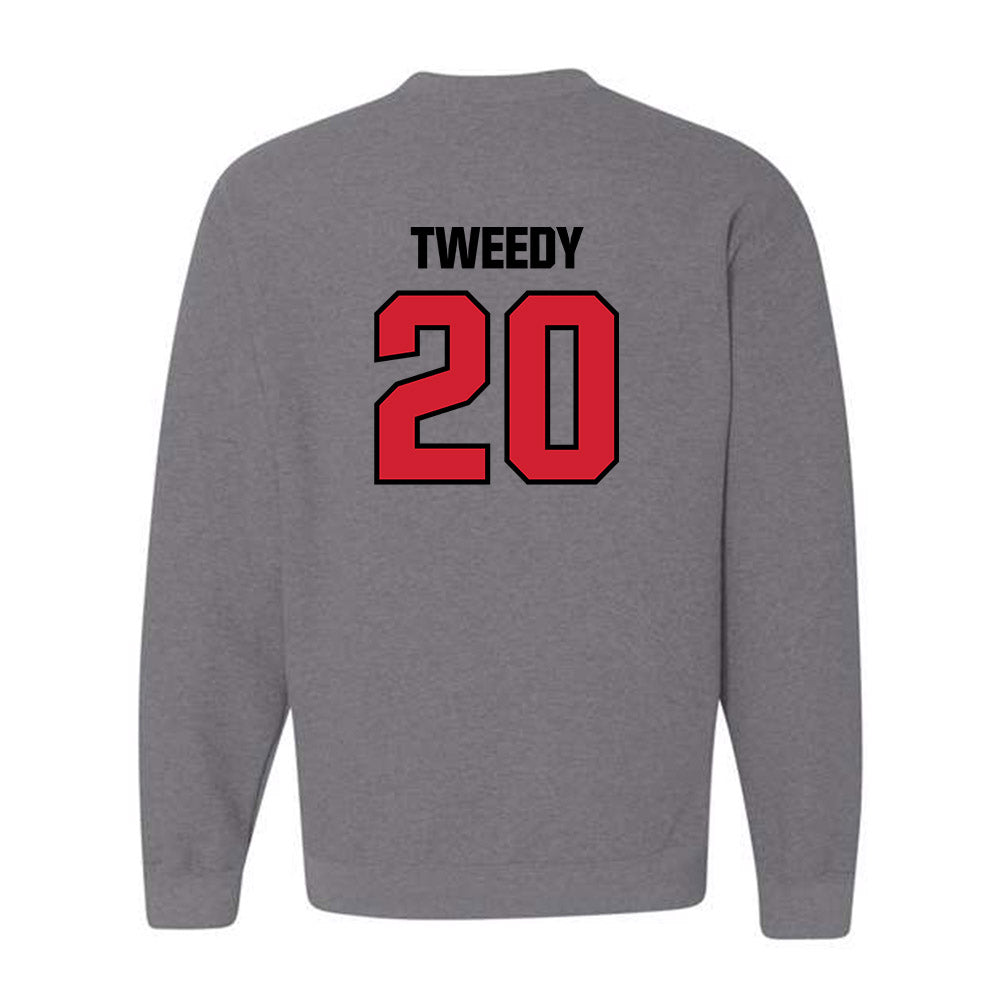 St. Francis - NCAA Men's Basketball : Cameron Tweedy - Classic Shersey Crewneck Sweatshirt-1
