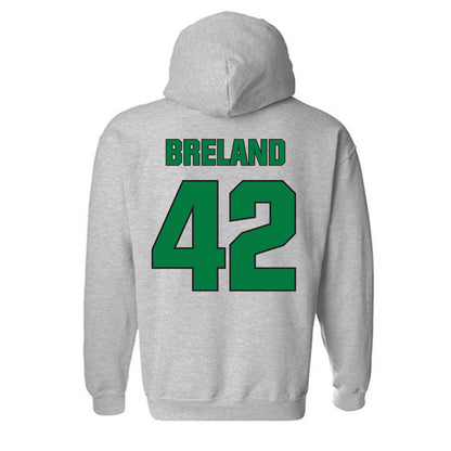 Oregon - NCAA Football : Aydin Breland - Sports Shersey Hooded Sweatshirt-1